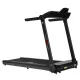Беговая дорожка CardioPower ТТ30